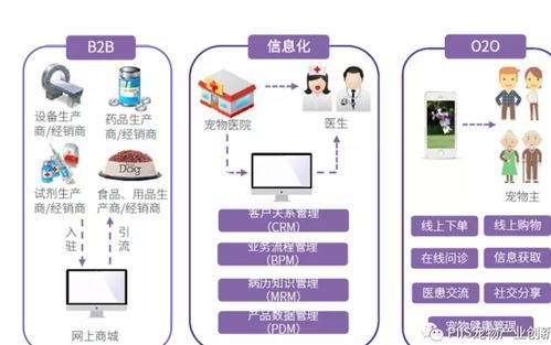 優寵智能2021 寵物產品與服務的引爆點與網絡技術服務新路徑